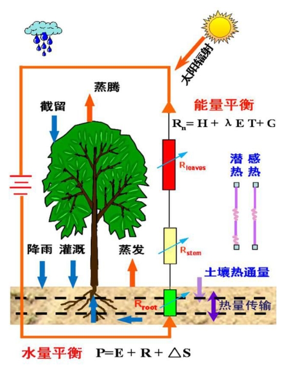 蒸散量測定方法及原理！