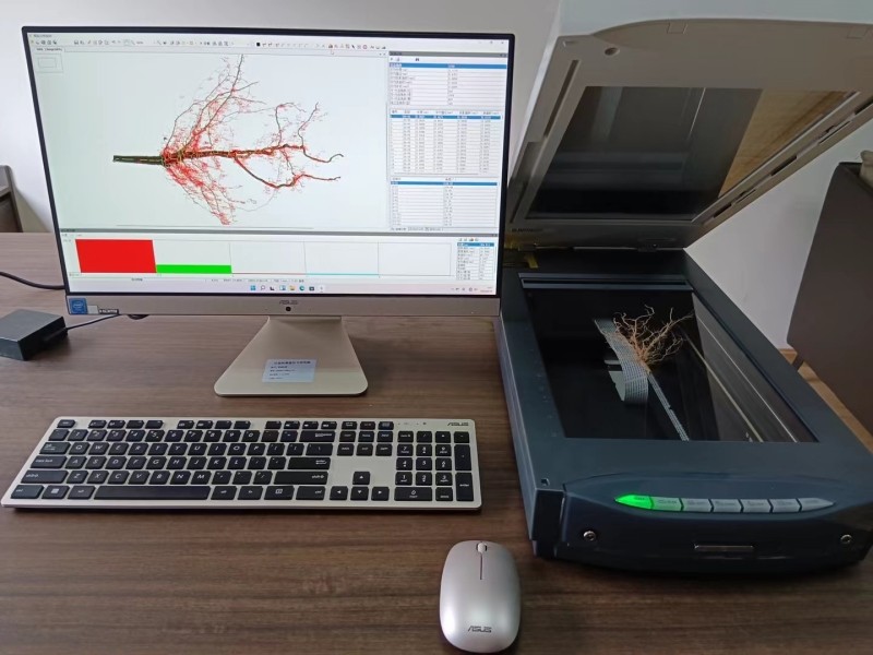 植物根系分析系統(tǒng)