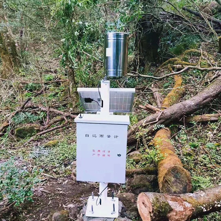 *體式自動雨量站 