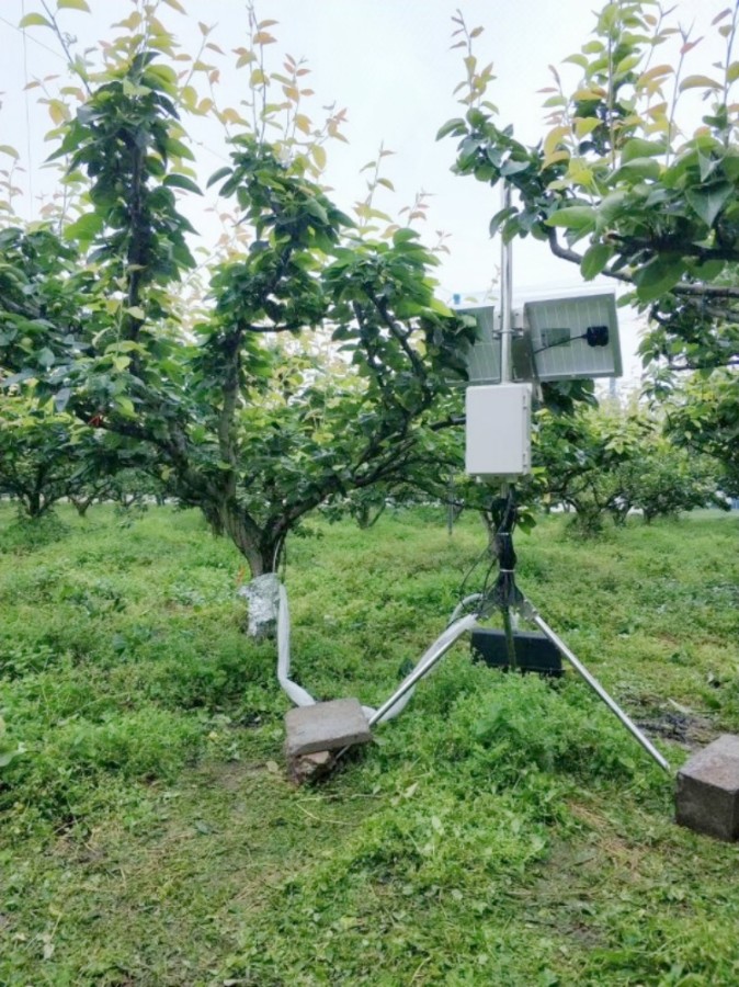 植物生理生態(tài).jpg