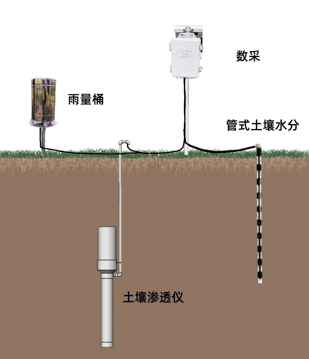 土壤滲透.jpg